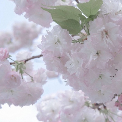 Furry插画构图技巧兽圈群